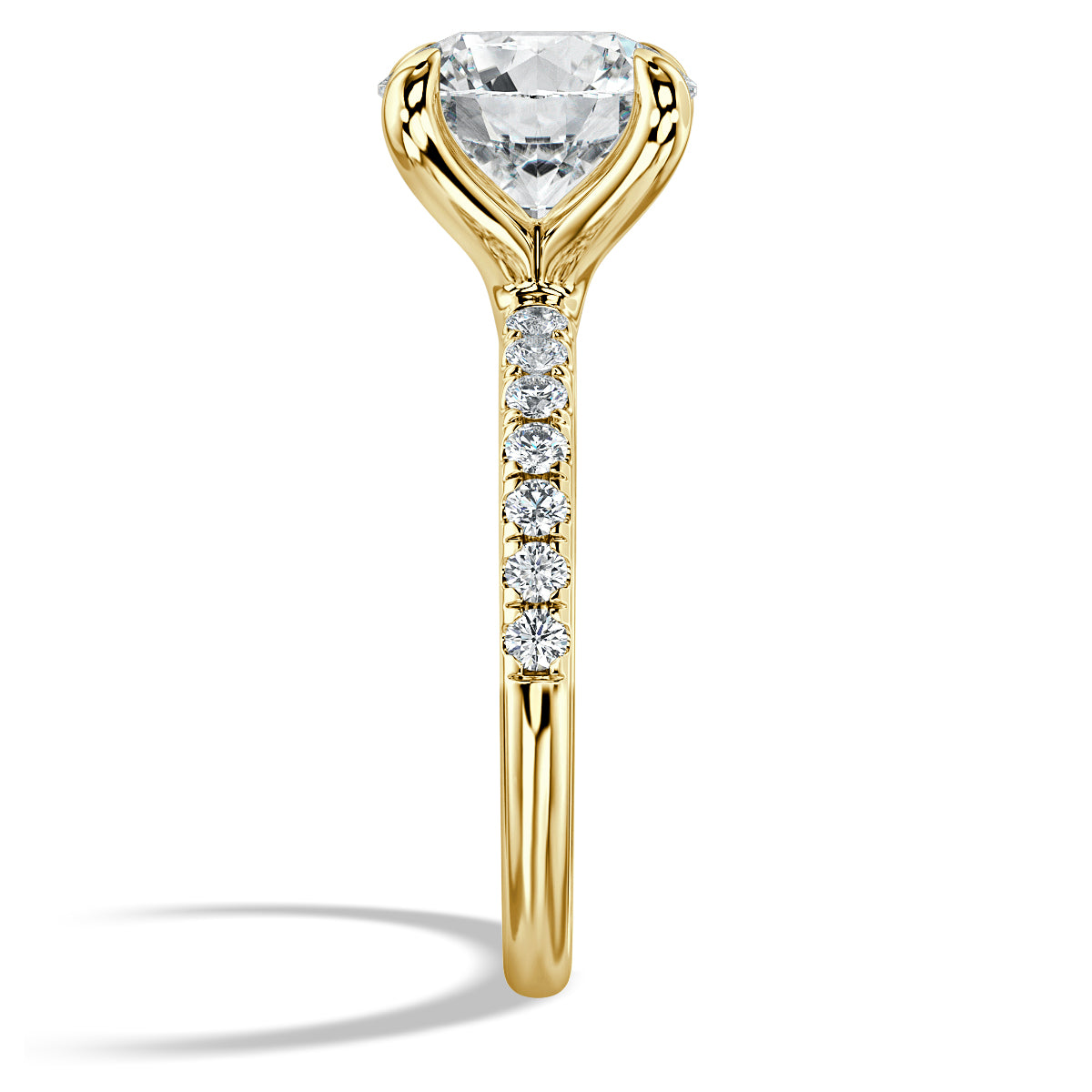 3.0 Carat Round Cut Diamond & Accents