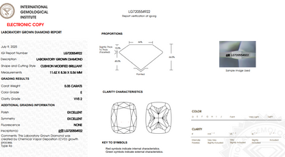 Attention Swifties! HUGE 5.05 Ct, Cushion Cut, LG Diamond & Hidden Halo Engagement Ring