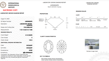 IGI Certified 3.14 Carat Oval Cut LG Diamond - E Colour & VVS2 Clarity!