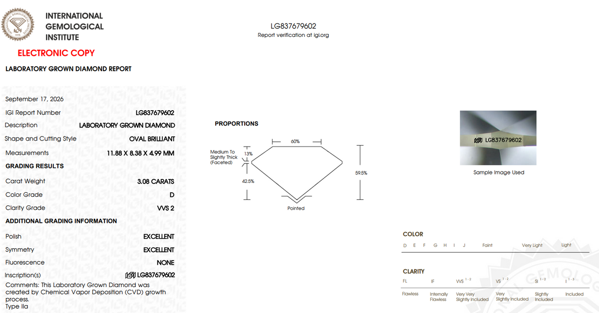 LIMITED OFFER: $6499 Value - 3.08 Carat Oval Cut LG Diamond - IGI Certified D/VVS2